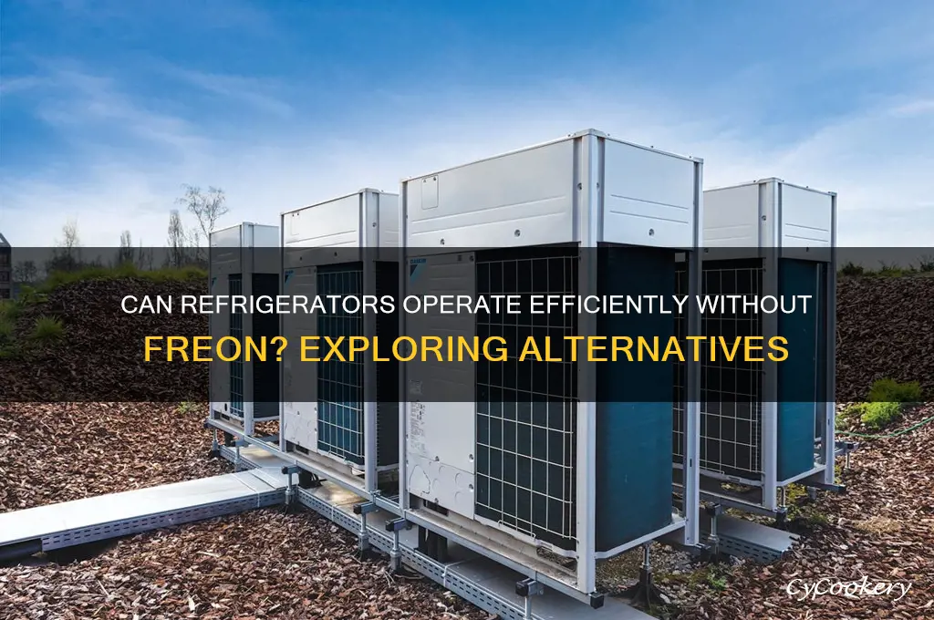 can a refrigerator work without freon