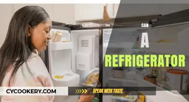 Can a Refrigerator Run Efficiently Without Regular Maintenance?