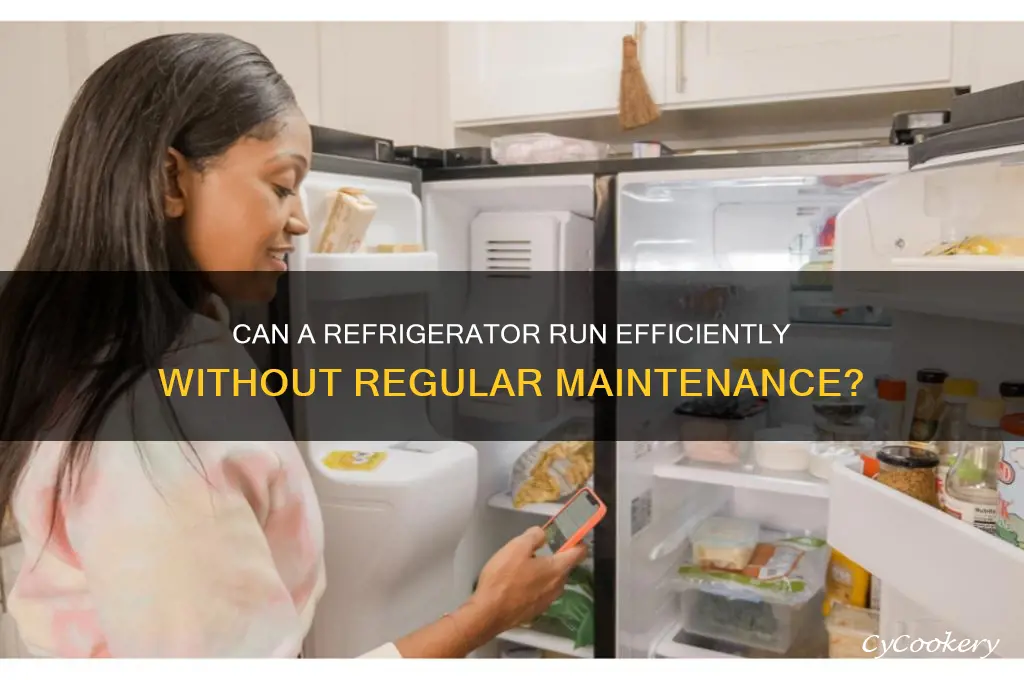 can a refrigerator