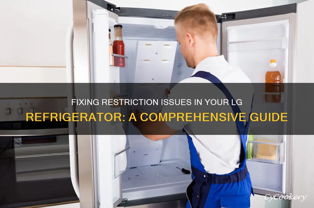 can a restriction be fixed in a lg refrigerator