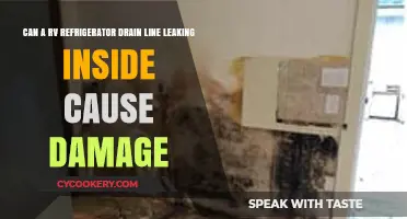 RV Refrigerator Drain Line Leak: Potential Damage Inside Your Vehicle