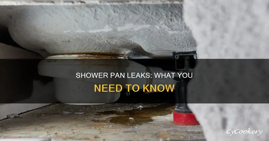 can a shower pan leak