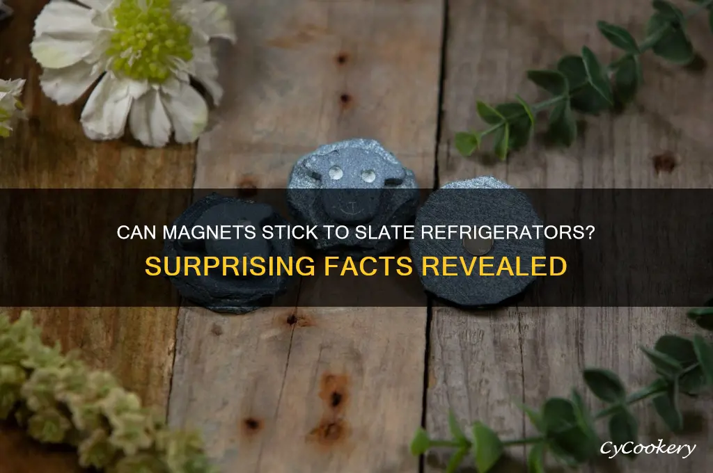 can a slate refrigerator take magnets
