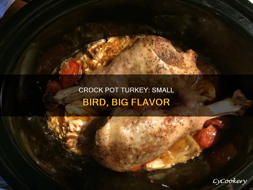 can a small turkey be cooked in a crock pot