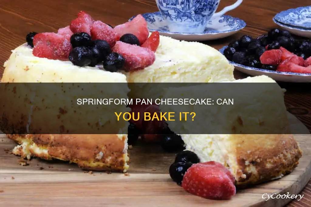 can a spring gorm pan to nske cheese cake