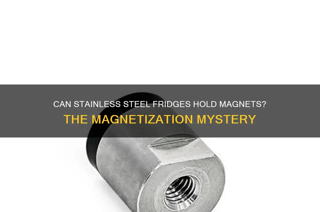 can a stainless steel refrigerator be magnetized