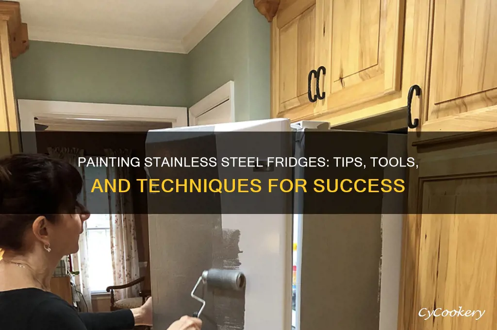 can a stainless steel refrigerator be painted