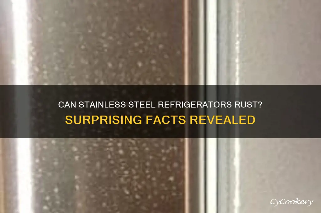 can a stainless steel refrigerator rust