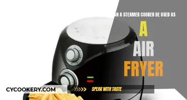 Steamers vs Air Fryers: What's the Difference?