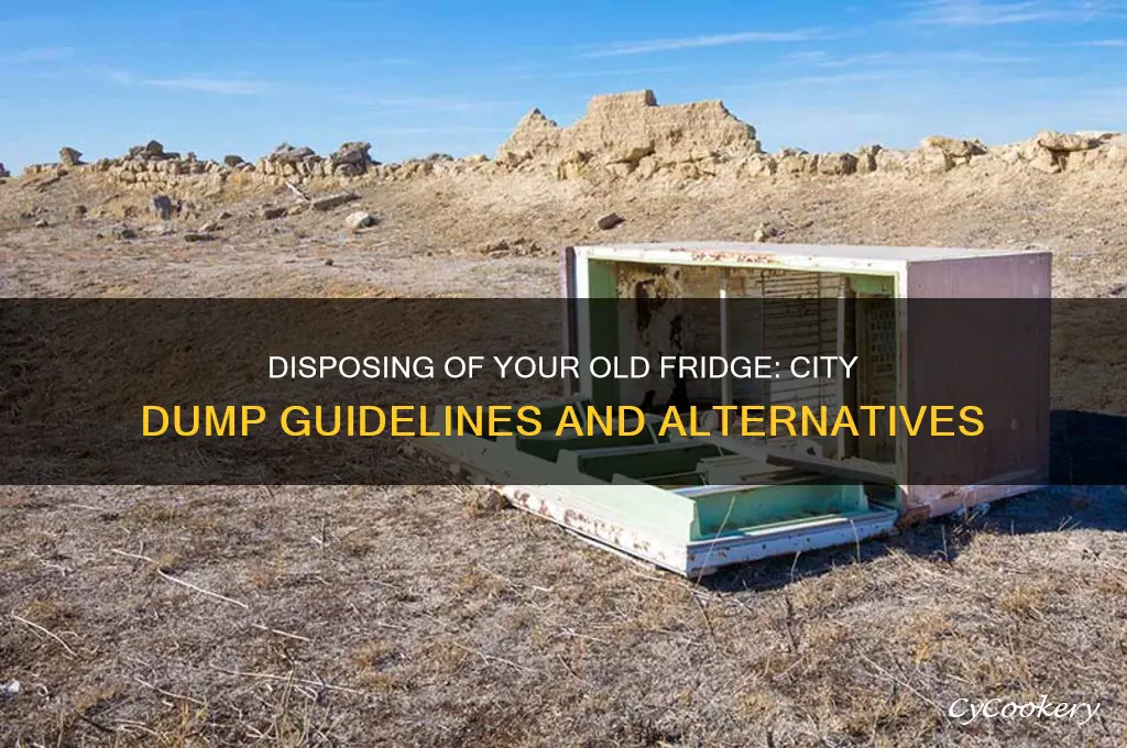 can a take my old refrigerator to the city dump