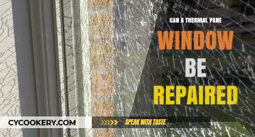 Thermal Pane Window: Repair or Replace?