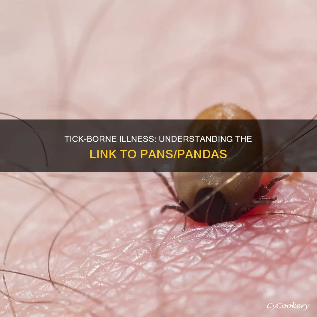 can a tick cause pan pandas
