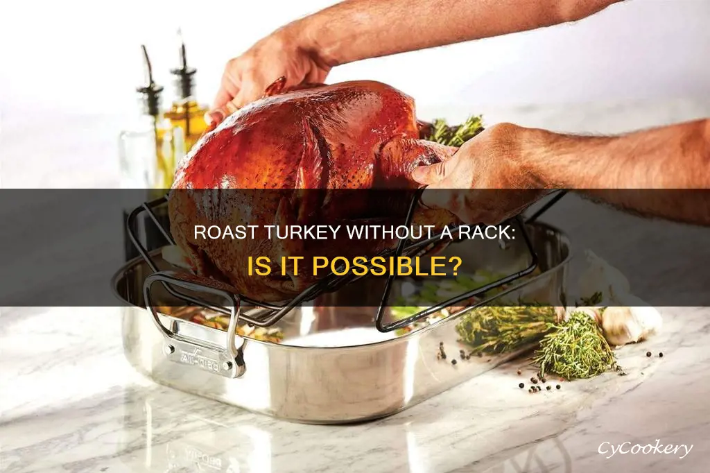 can a turkey rosst in pan without roadting rack