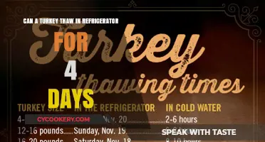 Safely Thawing Turkey: Is 4 Days in the Fridge Enough?