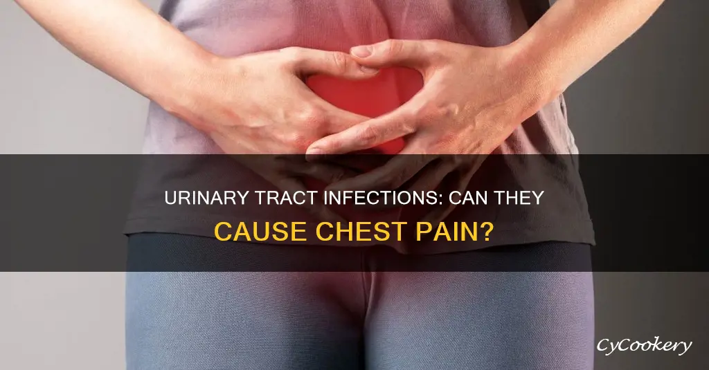 can a urinary tract infection cause chest pans