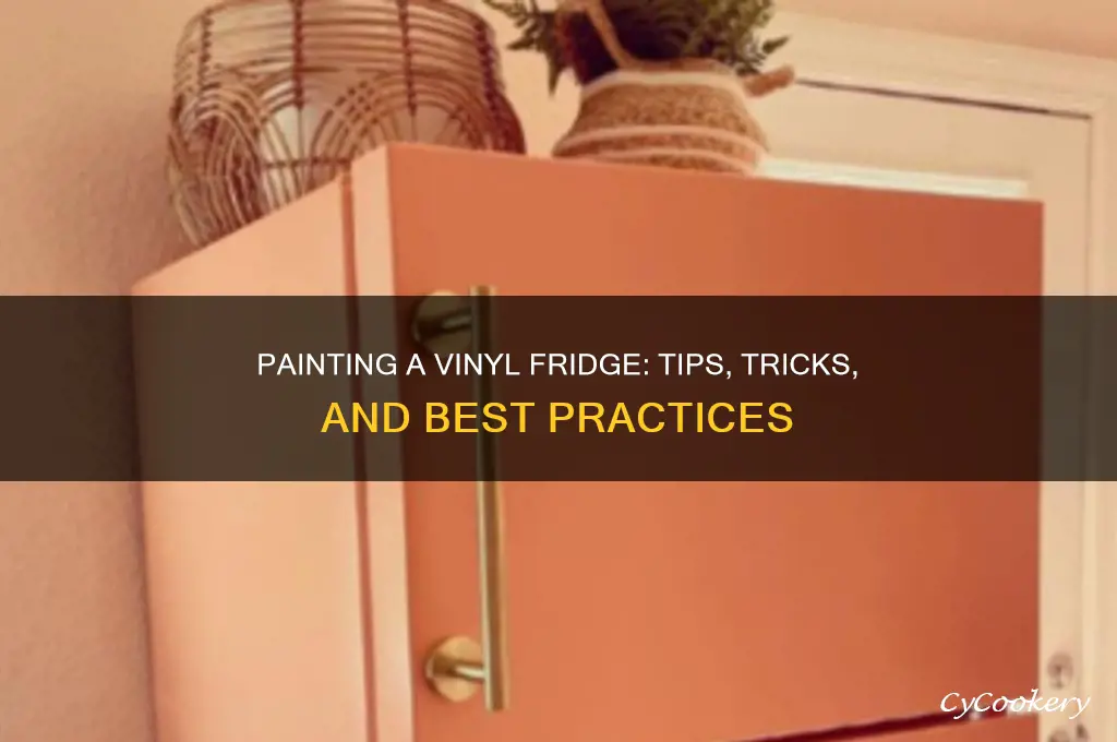 can a vinyl refrigerator be painted