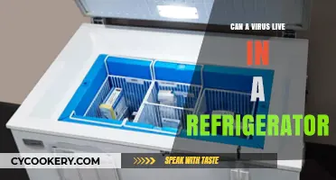 Can Viruses Survive in Your Fridge? Uncovering the Chilling Truth
