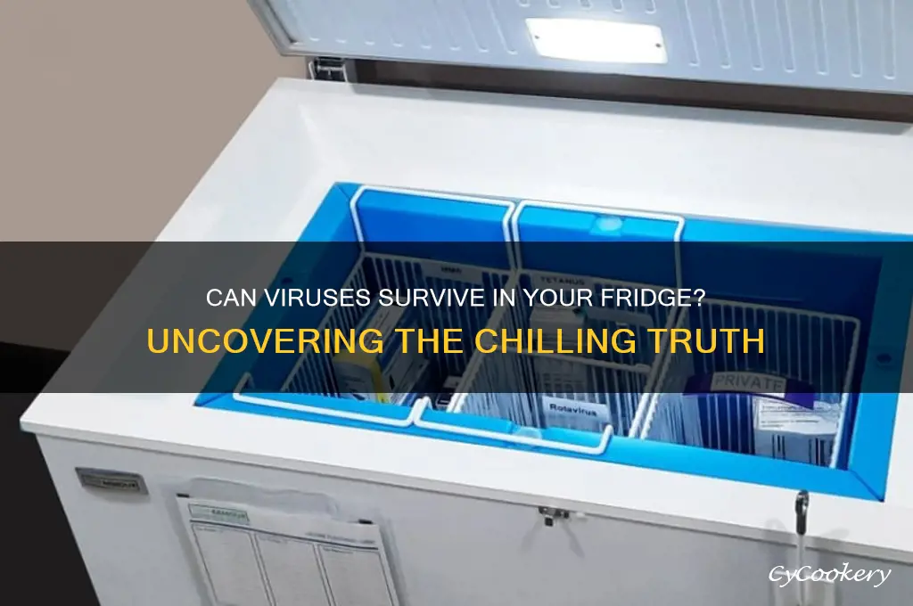 can a virus live in a refrigerator