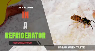 Can Wasps Survive in Your Fridge? Unveiling the Truth