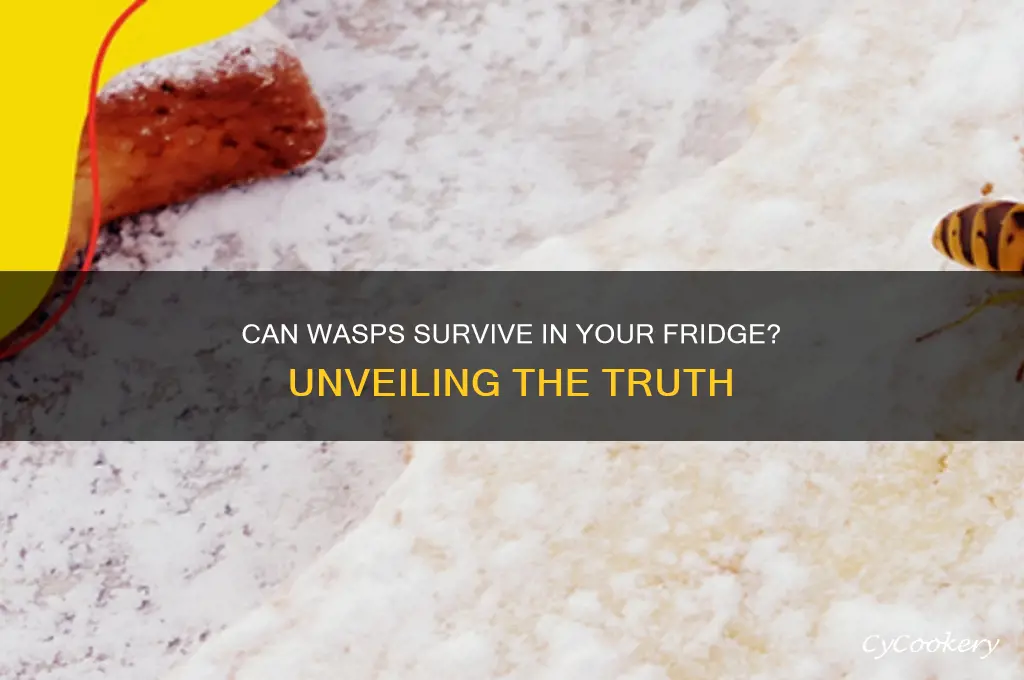 can a wasp live in a refrigerator