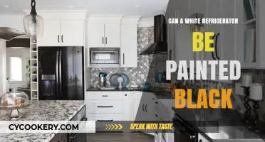 Transforming Your White Fridge: Can It Be Painted Black?