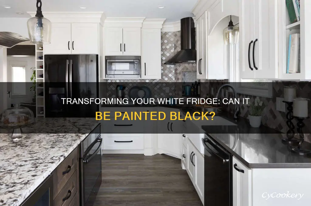 can a white refrigerator be painted black