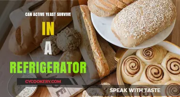 Does Active Yeast Survive Refrigeration? A Comprehensive Guide