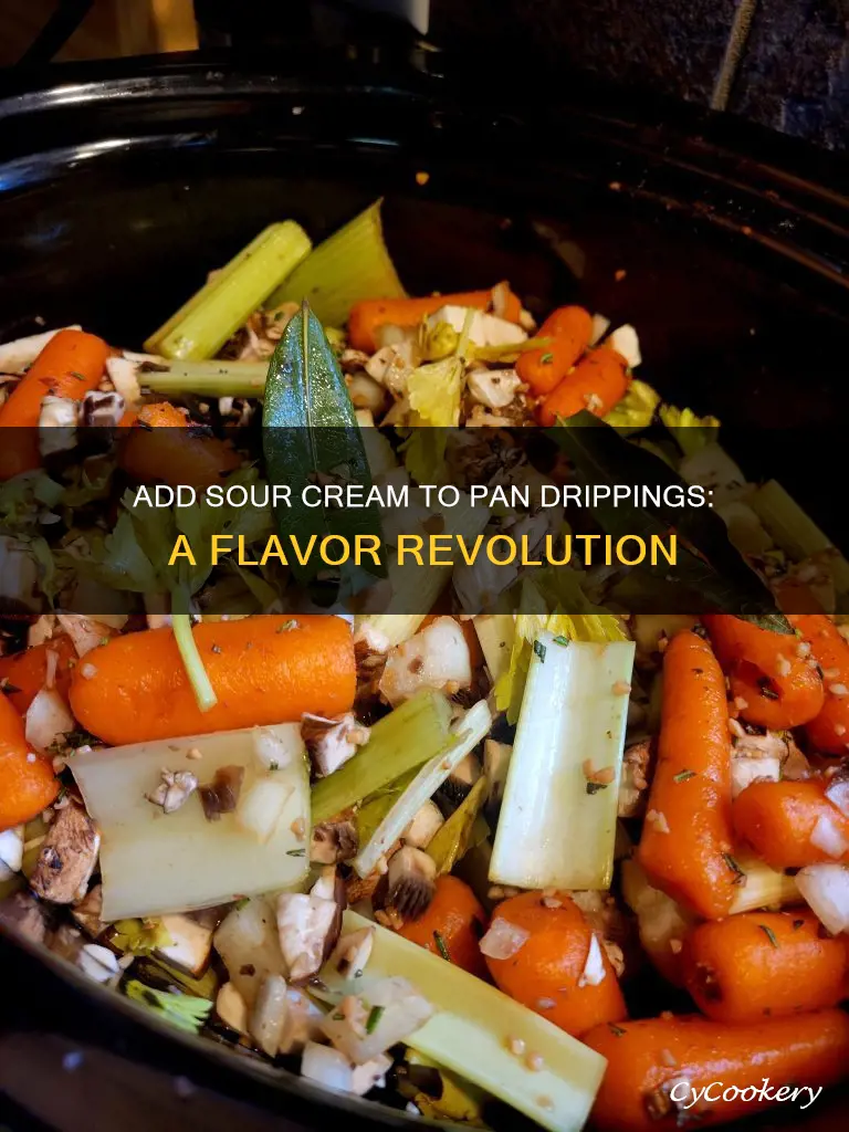 can add sour cream pan drippings