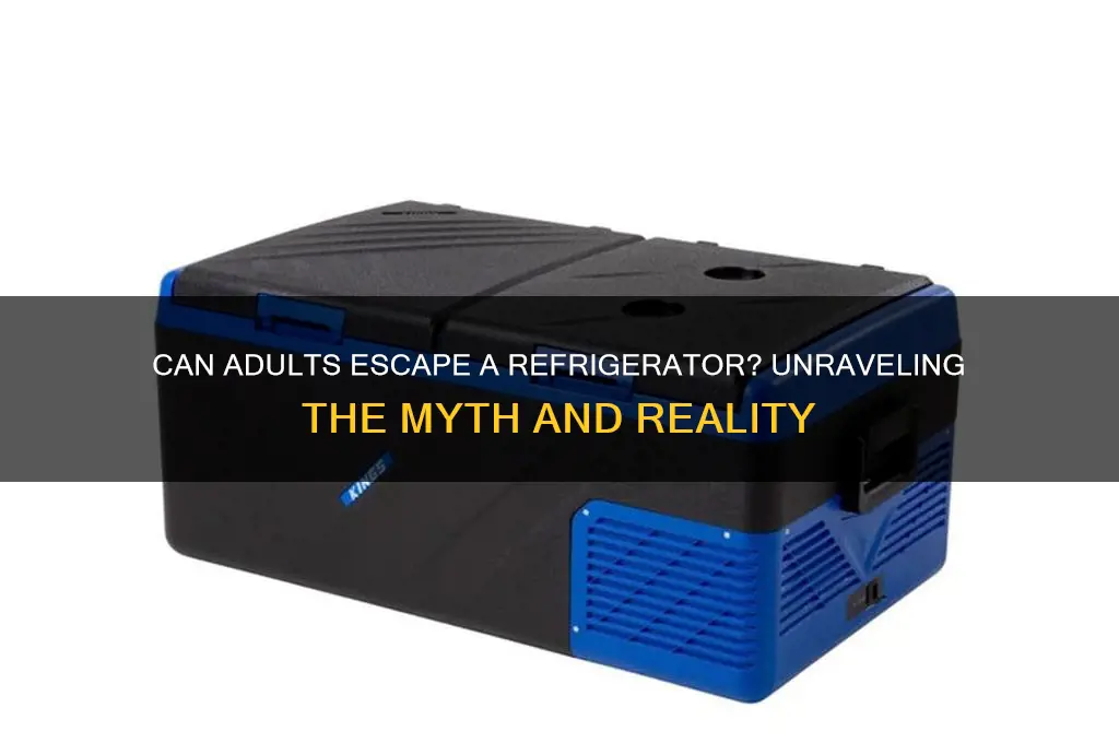 can adults get out of refrigerator
