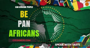 Exploring Pan-Africanism: An African Perspective