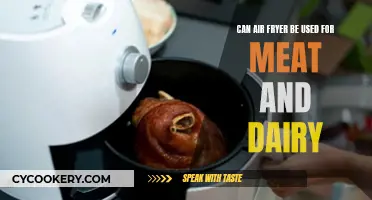 Air Fryer Versatility: Meat and Dairy Delights