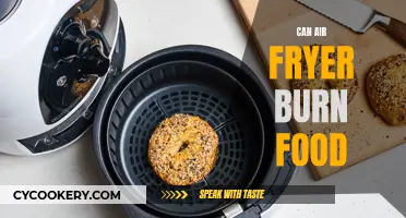 Air Fryer Food Burning: Why and How to Avoid It