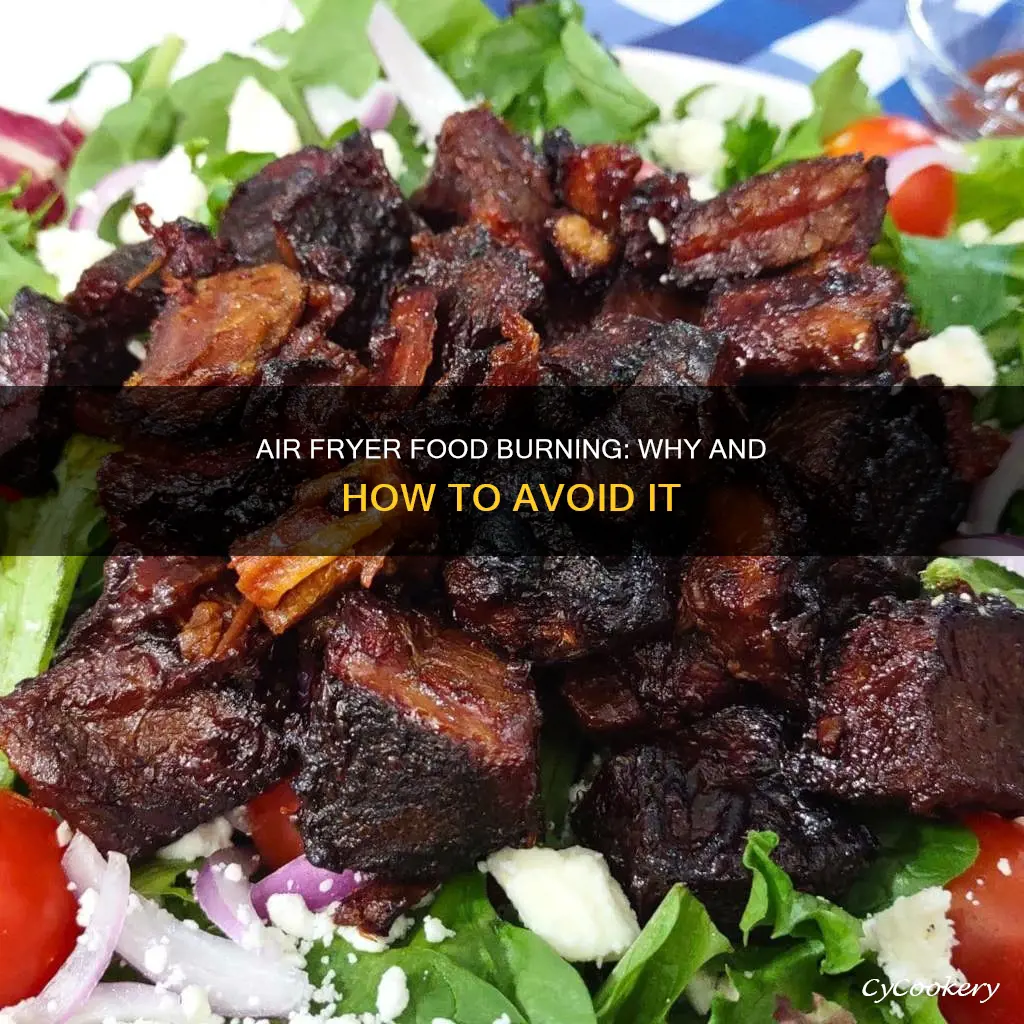 can air fryer burn food