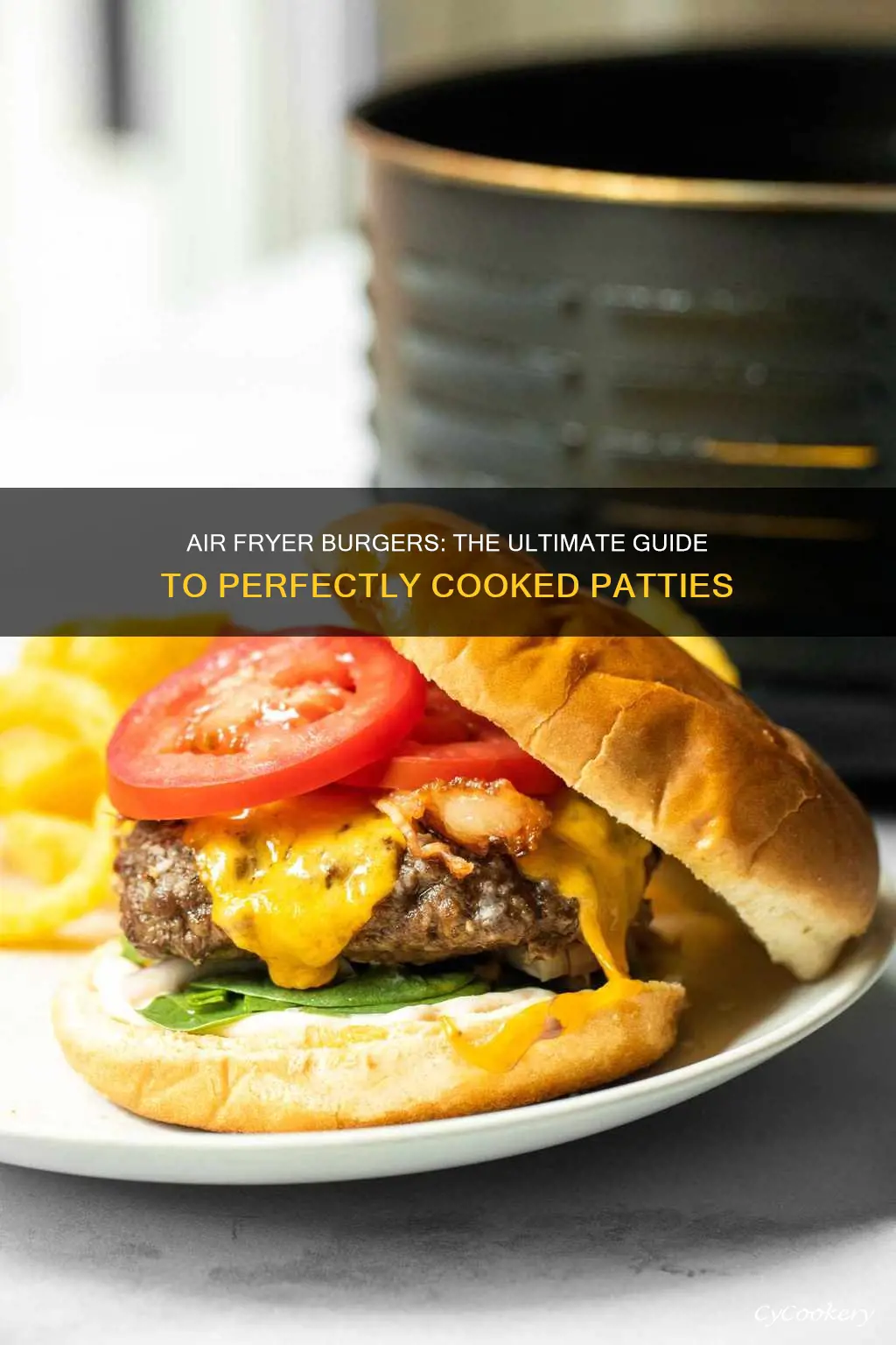 can air fryer cook burgers