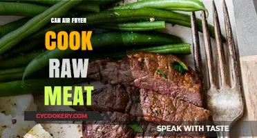 Air Fryer Meat Mastery: Cooking Raw to Perfection