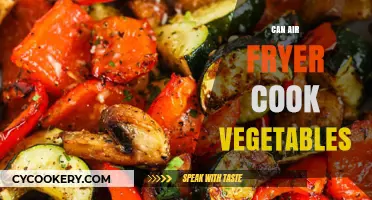 Air Fryer Veggie Magic: Healthy Cooking Made Easy