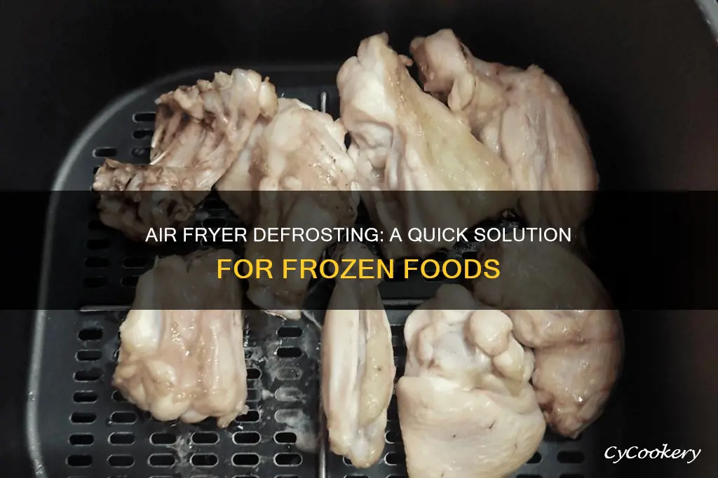 can air fryer defrost