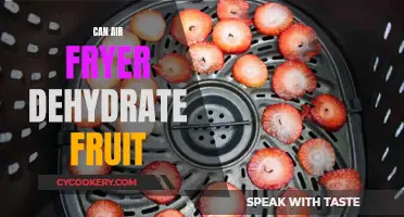 Air Fryer Dehydration: Can It Preserve Fruits?