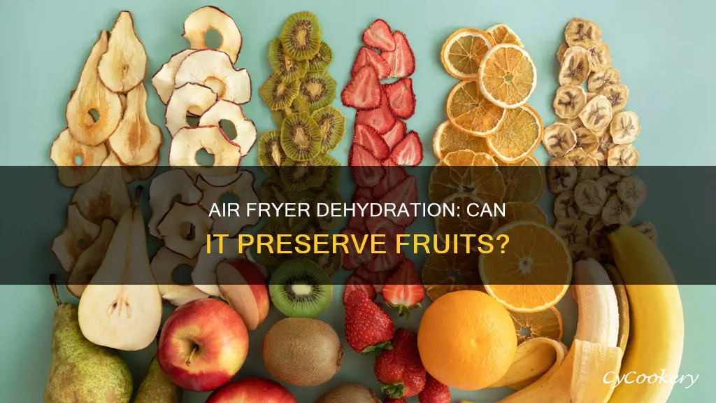 can air fryer dehydrate fruit