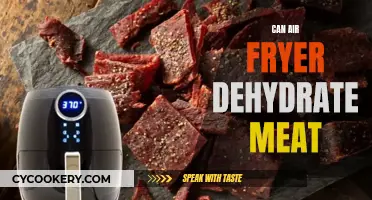 Air Fryer Dehydrating: Can It Preserve Meat?