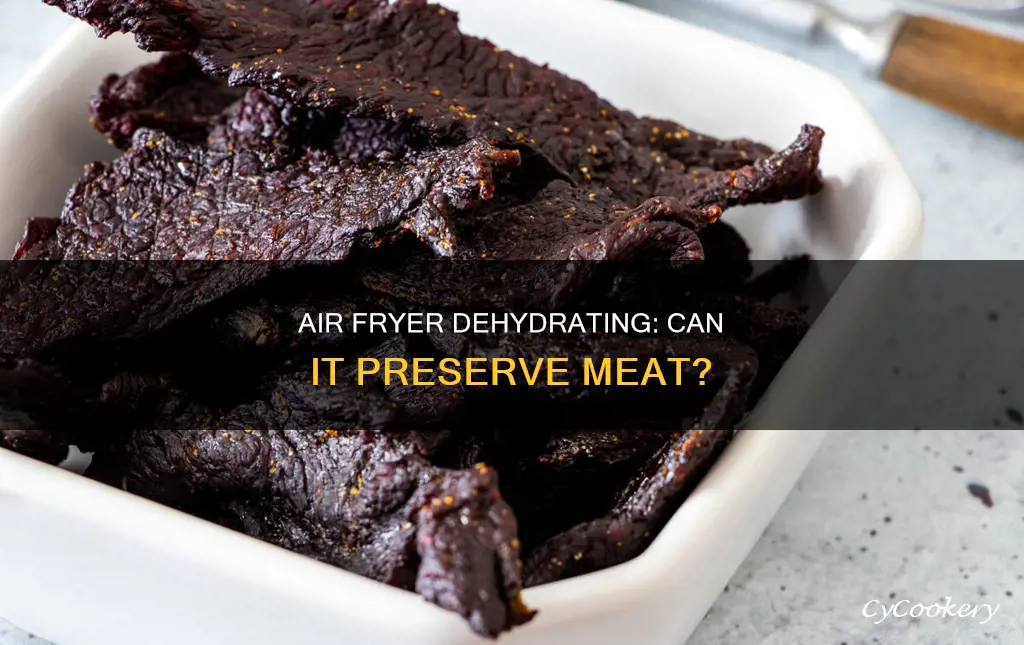 can air fryer dehydrate meat