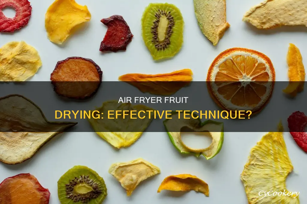 can air fryer dry fruit