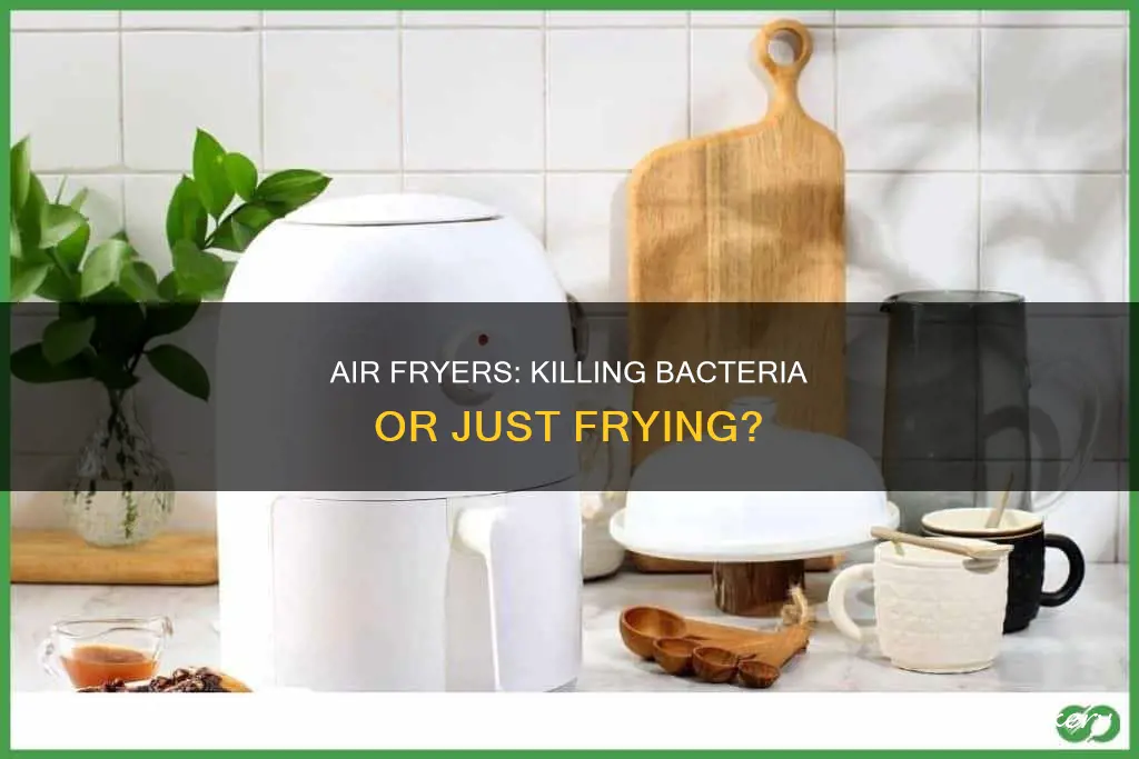 can air fryer kill bacteria