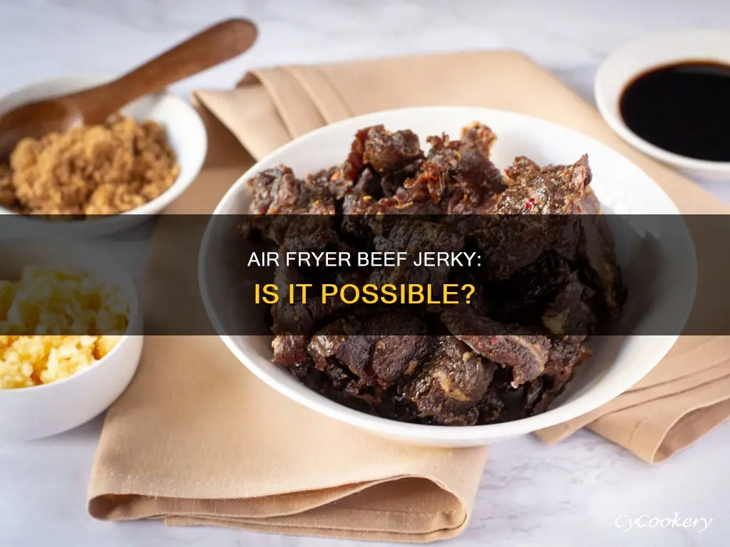 can air fryer make beef jerky