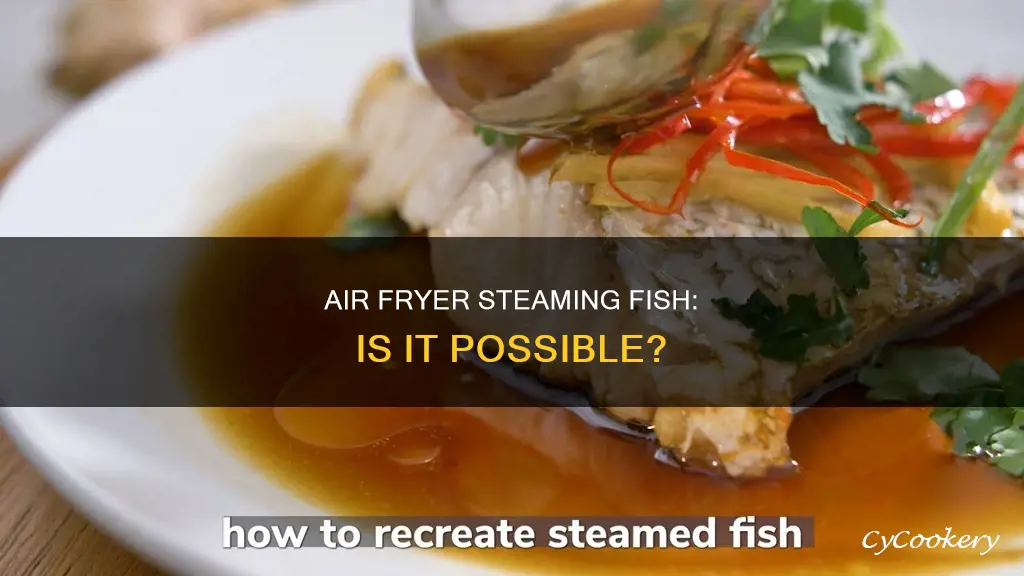 can air fryer steam fish