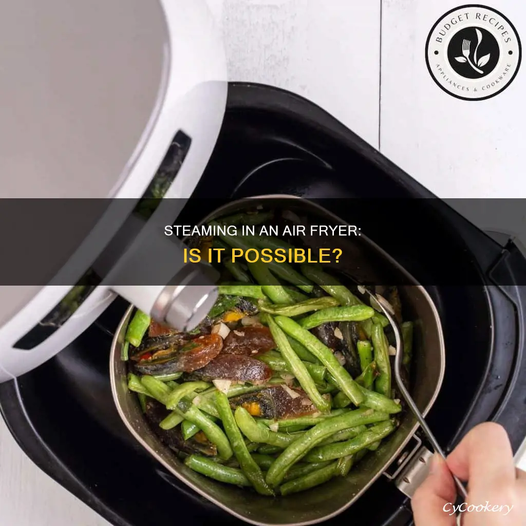 can air fryer steam