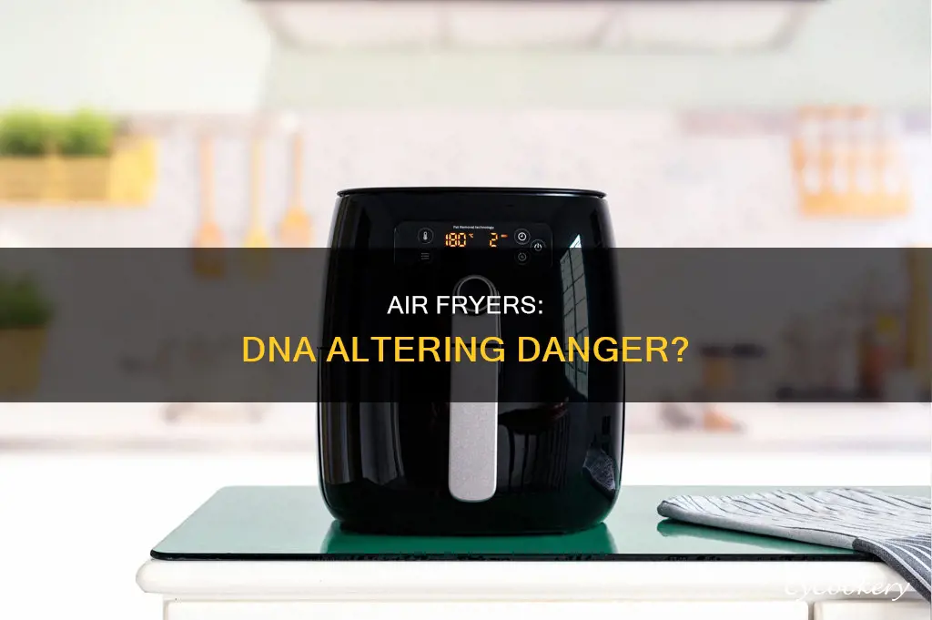 can air fryers alter your dna