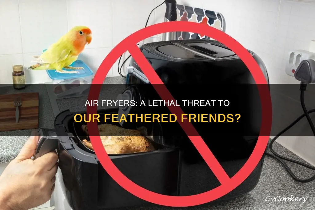 can air fryers kill birds