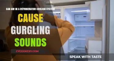 Gurgling Sounds in Your Fridge: Air in Cooling System Culprit?