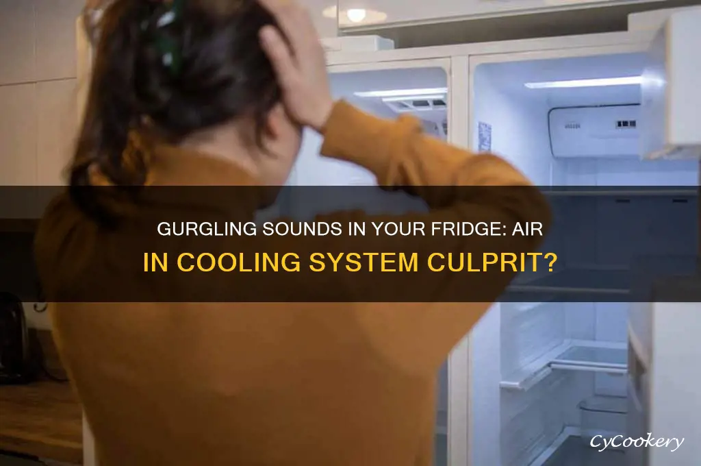 can air in a refrigerator coolign system cause gurgling sounds